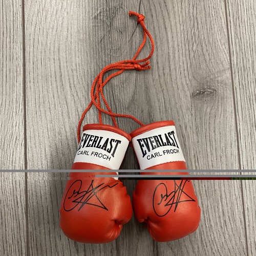Carl froch mini boxing - boxing, gloves
