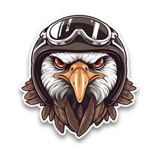 Bald Eagle Bird Motorcycle