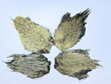 Badger cock cape,fly tying material,fly fishing  B grade 