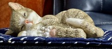 Sweet Dreams: Peaceful