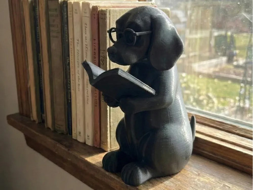 Intellectual dog reading - intellectual,