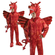 Child Red Dragon Costume Book