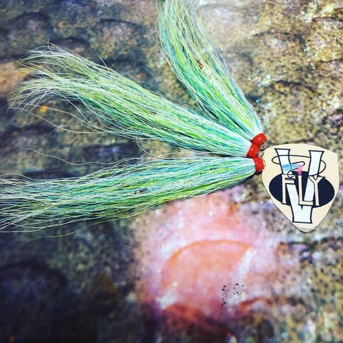 Fly inch spring dirty - 3,