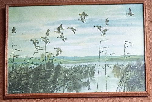 Vintage peter scott print - vintage,