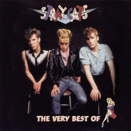 Stray cats very best - cats, new