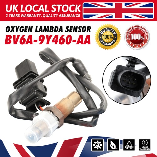 Front lambda sensor fits - o2,