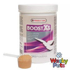 RACING PIGEON SUPPLEMENT