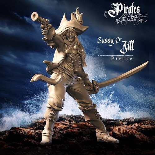 Raging heroes pirates - raging,