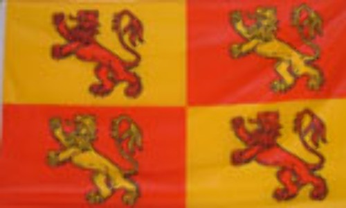 Owain glyndwr flag - glyndwr, x