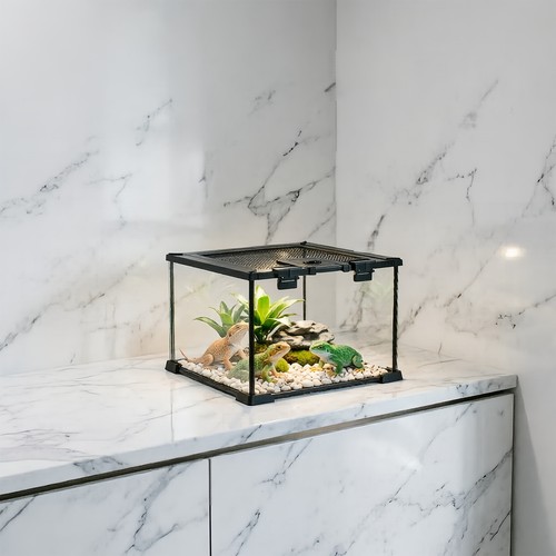 Clear glass reptile terrarium - reptile,
