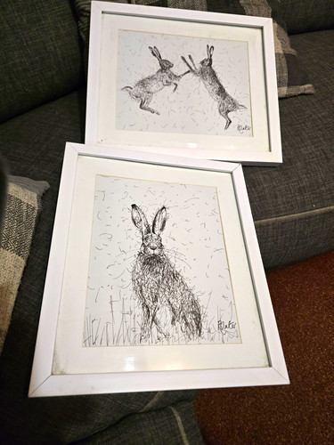 Baxter signed framed pen - r,