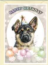 German Shepherd Dog Alsatian