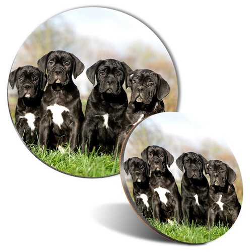 Mouse mat coaster set - mouse,