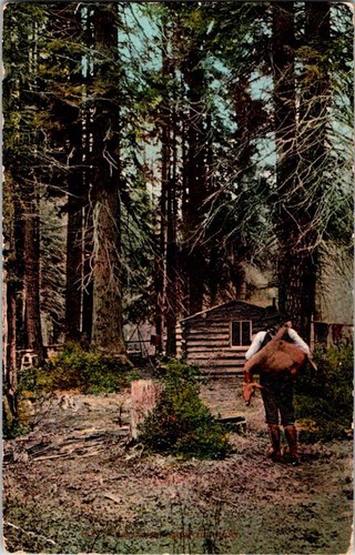 Port orford postcard - or, hunter