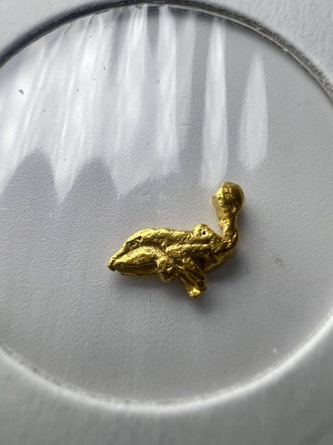 Gold nugget hand - panned, from