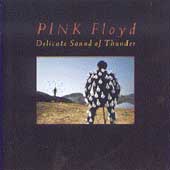 Pink Floyd : Delicate Sound of Thunder CD 2 discs (1988) FREE Shipping, Save £s
