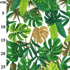 Green Tropical Palm Leaf