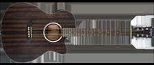 Washburn Deep Forest Ebony Ace Electro Acoustic Guitar