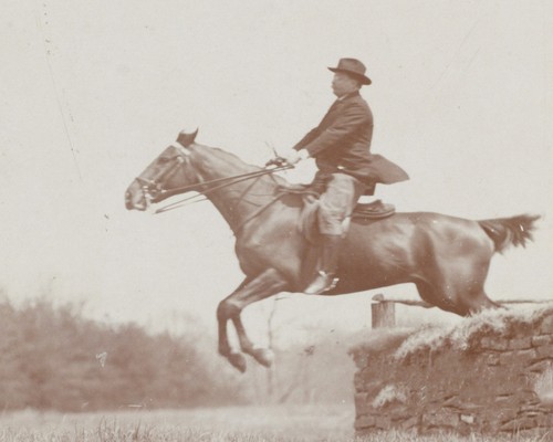 Teddy roosevelt jumping fence - teddy,