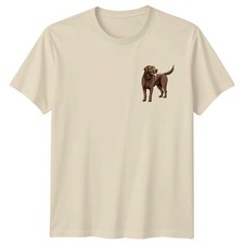 Chesapeake Bay Retriever Dog