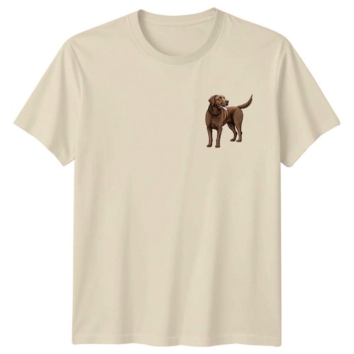 Chesapeake bay retriever dog - bay,