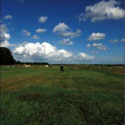Hilvarenbeek recordings - recordings, by