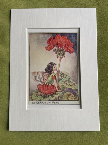 Geranium flower fairy - ‘geranium’,