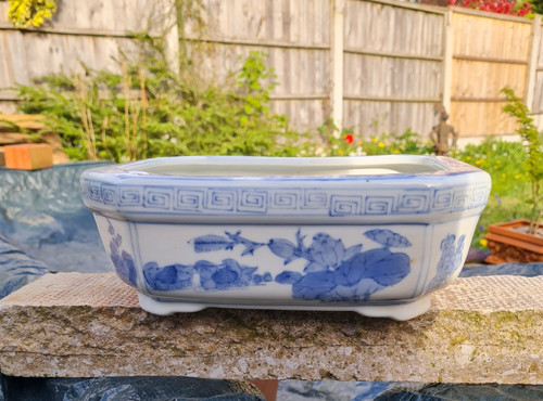 Oriental decorative bonsai - oriental,