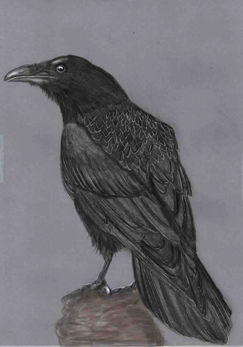 Original coloured pencil