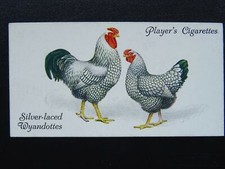No.48 SILVER LACED WYANDOTTES Poultry by John Player & Sons 1931 CHICKEN FOWL