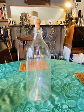 Vintage Glass Minnow Fish Trap 38cm x 14cm