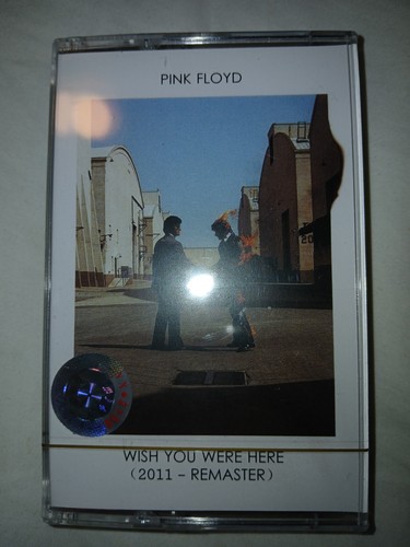 Pink floyd wish you were - you,