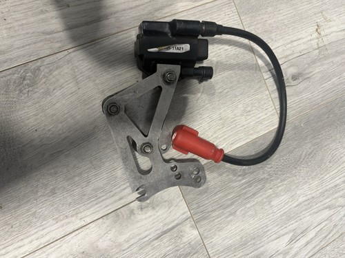Junior rotax max evo kart - max, coil