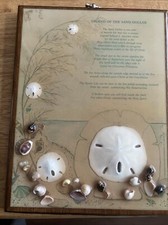 Vintage Legend Of The Sand Dollar Framed Shells Doves of Peace  Jesus Story