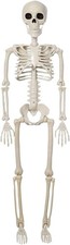 Halloween Skeleton Decoration, Posable Full Body Skeleton with Movable2100