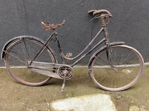 Bicycle women years 50 - bicycle,