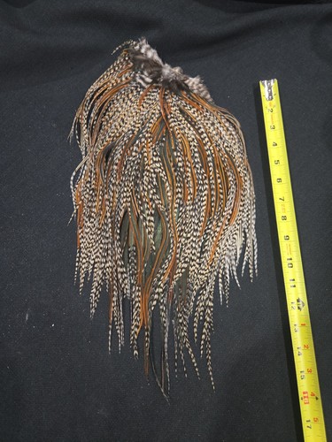 Grizzly barred variant rooster - grizzly,