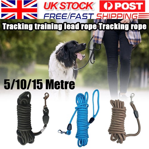 Extra strong long - strong, horse