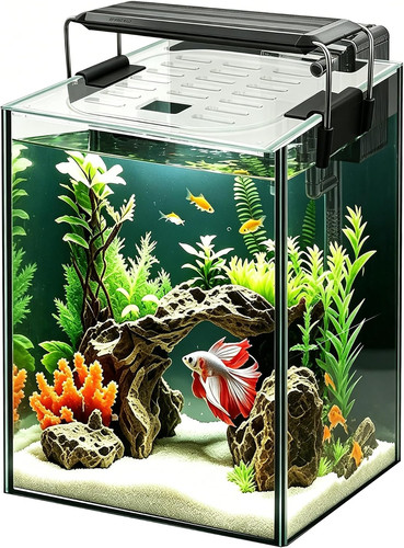 Glass aquarium starter - aquarium, kits