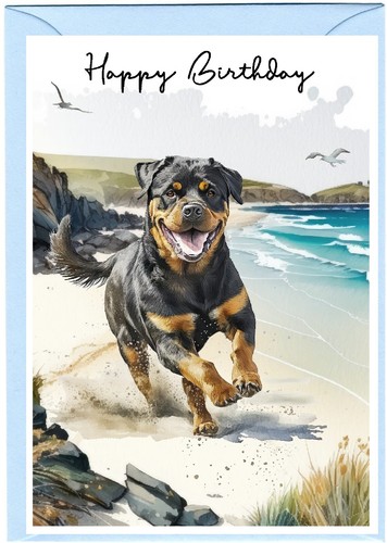 Rottweiler dog - dog, (4"x