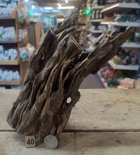 Dragon wood natural - dragon,