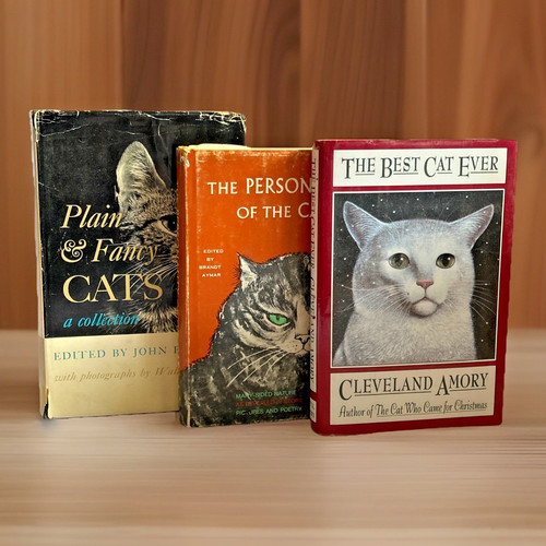 Cats book bundle lot of - ~,
