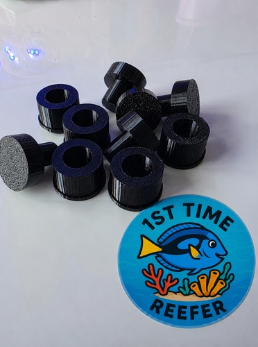 Coral frag plug with - coral,