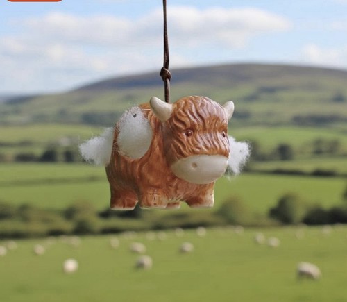 Hairie the highland - hairie, cow