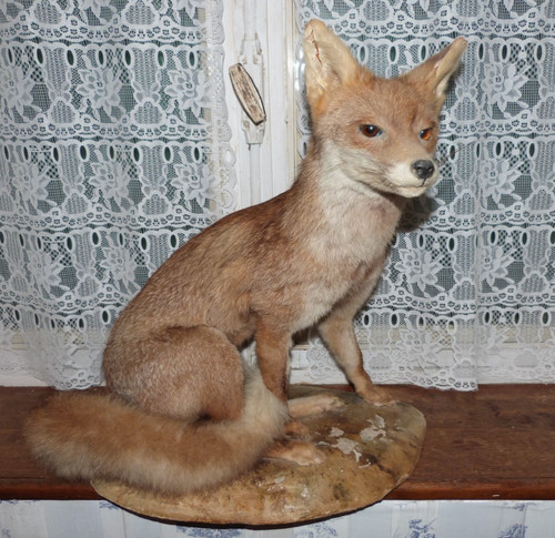 Vintage 1988 french seated - french, red