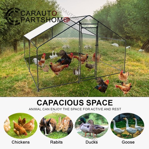 8x9 8x6 6ft metal chicken - 9.8x9.8x6.6ft,