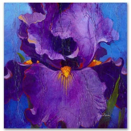 Simon bull hand signed limited - bull,
