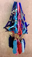 FOAL-SIZE HEADCOLLAR/LEADROPE