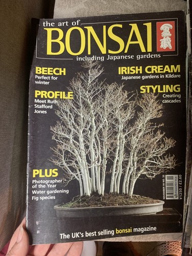 The art bonsai november 99 - the,