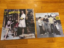 Flyscreen Vinyl 90s Punk